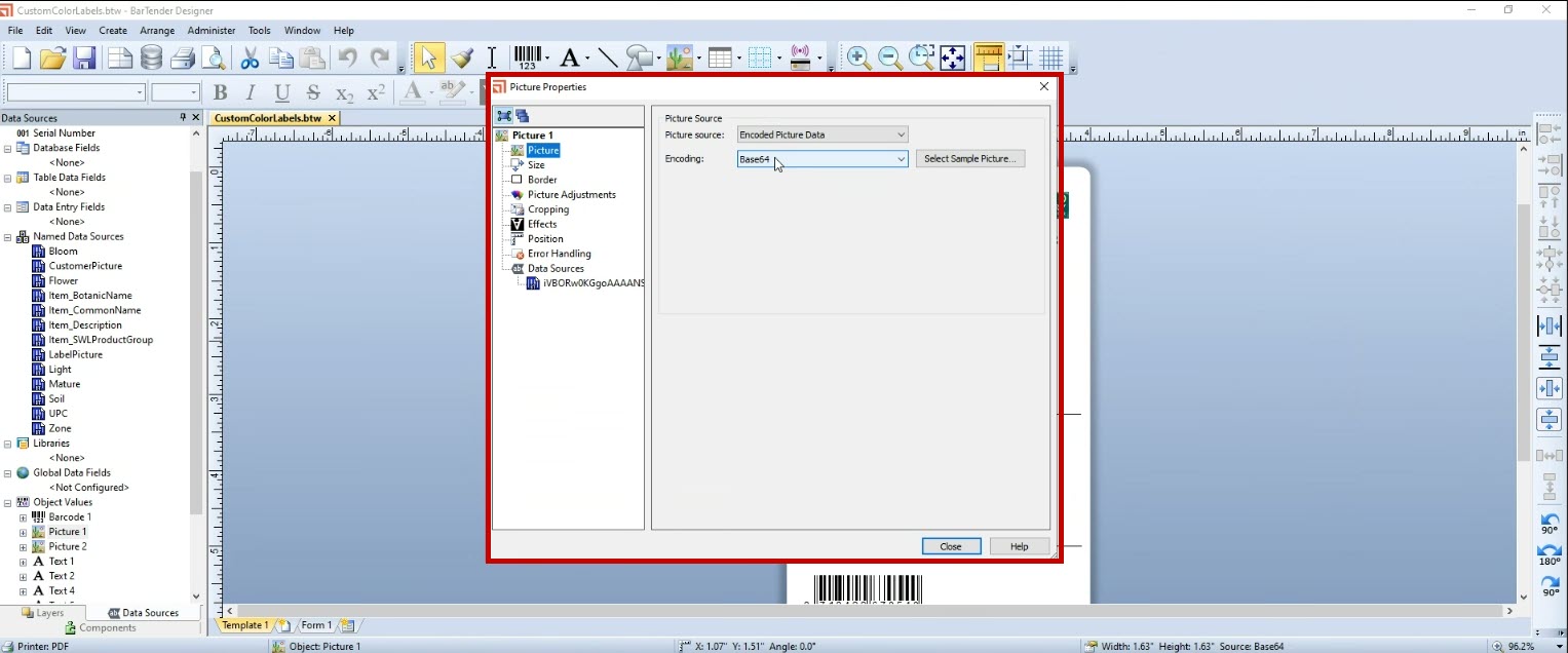 Image Setup in Bartender Designer